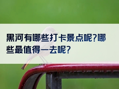 黑河有哪些打卡景点呢？哪些最值得一去呢？