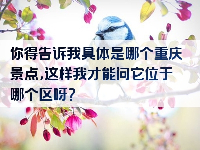 你得告诉我具体是哪个重庆景点，这样我才能问它位于哪个区呀？