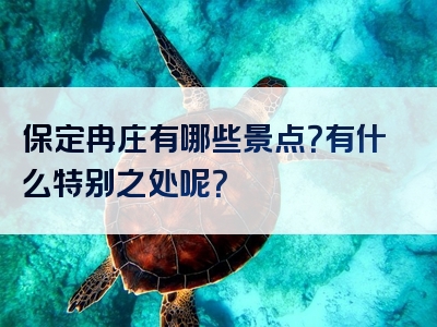 保定冉庄有哪些景点？有什么特别之处呢？