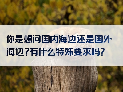 你是想问国内海边还是国外海边？有什么特殊要求吗？