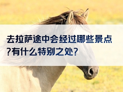 去拉萨途中会经过哪些景点？有什么特别之处？