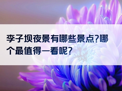 李子坝夜景有哪些景点？哪个最值得一看呢？
