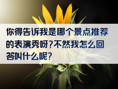 你得告诉我是哪个景点推荐的表演秀呀？不然我怎么回答叫什么呢？
