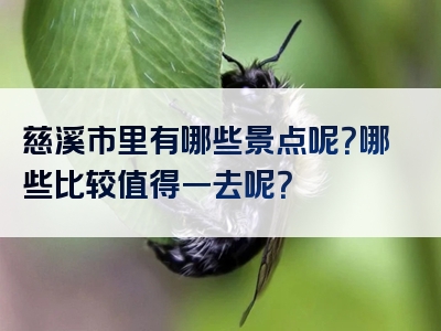 慈溪市里有哪些景点呢？哪些比较值得一去呢？
