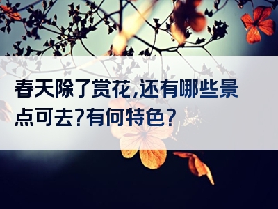 春天除了赏花，还有哪些景点可去？有何特色？