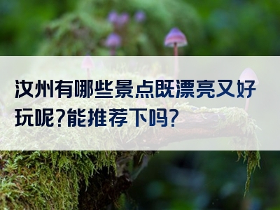 汝州有哪些景点既漂亮又好玩呢？能推荐下吗？