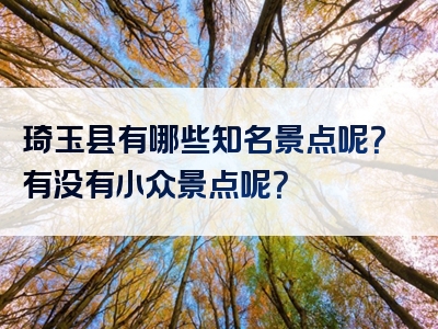 琦玉县有哪些知名景点呢？有没有小众景点呢？