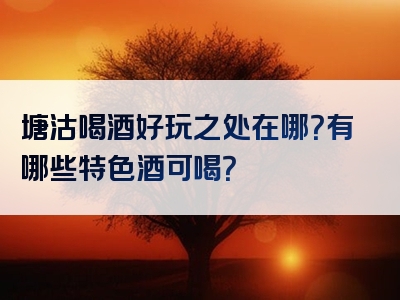 塘沽喝酒好玩之处在哪？有哪些特色酒可喝？