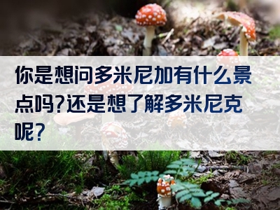 你是想问多米尼加有什么景点吗？还是想了解多米尼克呢？