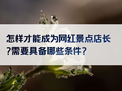 怎样才能成为网红景点店长？需要具备哪些条件？