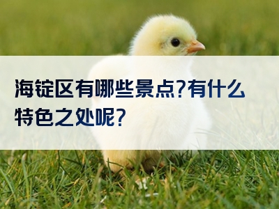 海锭区有哪些景点？有什么特色之处呢？