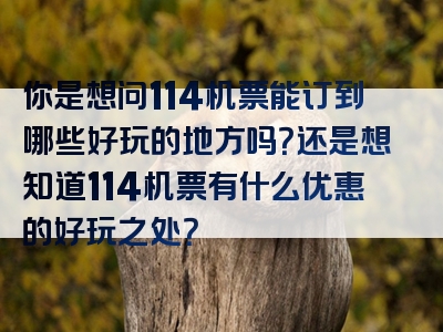 你是想问114机票能订到哪些好玩的地方吗？还是想知道114机票有什么优惠的好玩之处？