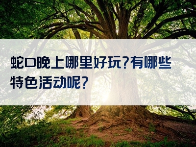 蛇口晚上哪里好玩？有哪些特色活动呢？