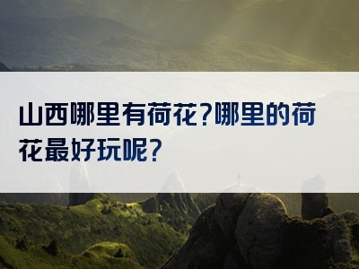 山西哪里有荷花？哪里的荷花最好玩呢？
