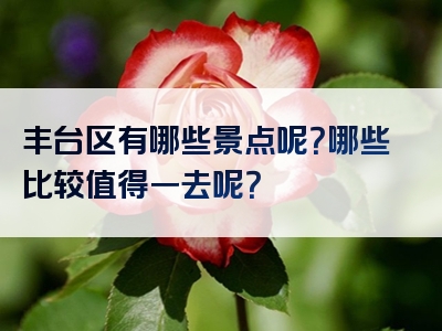 丰台区有哪些景点呢？哪些比较值得一去呢？