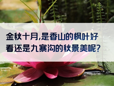 金秋十月，是香山的枫叶好看还是九寨沟的秋景美呢？