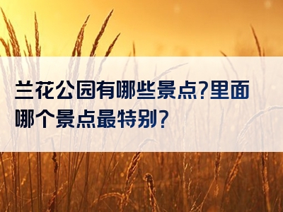 兰花公园有哪些景点？里面哪个景点最特别？
