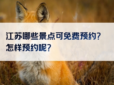 江苏哪些景点可免费预约？怎样预约呢？