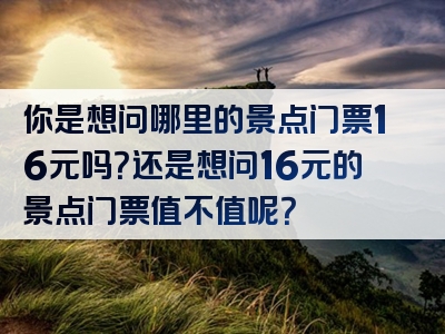 你是想问哪里的景点门票16元吗？还是想问16元的景点门票值不值呢？