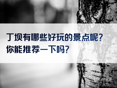 丁坝有哪些好玩的景点呢？你能推荐一下吗？
