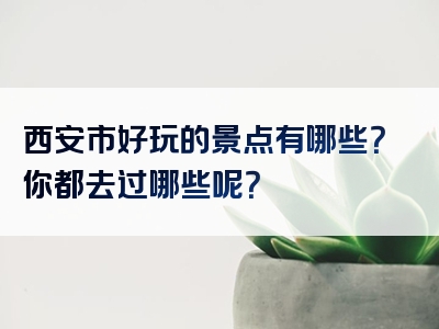 西安市好玩的景点有哪些？你都去过哪些呢？