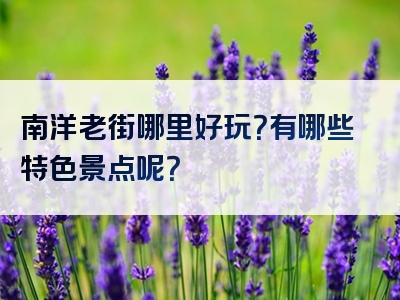 南洋老街哪里好玩？有哪些特色景点呢？