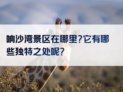 响沙湾景区在哪里？它有哪些独特之处呢？