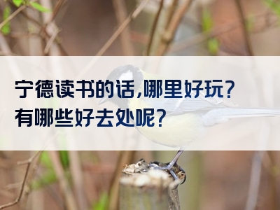 宁德读书的话，哪里好玩？有哪些好去处呢？
