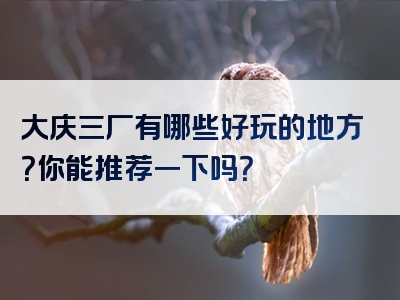 大庆三厂有哪些好玩的地方？你能推荐一下吗？