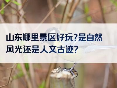 山东哪里景区好玩？是自然风光还是人文古迹？