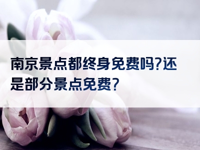 南京景点都终身免费吗？还是部分景点免费？