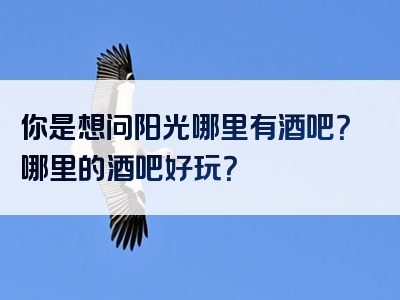 你是想问阳光哪里有酒吧？哪里的酒吧好玩？