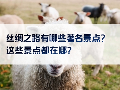 丝绸之路有哪些著名景点？这些景点都在哪？