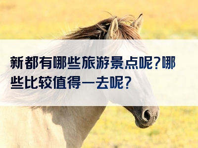新都有哪些旅游景点呢？哪些比较值得一去呢？