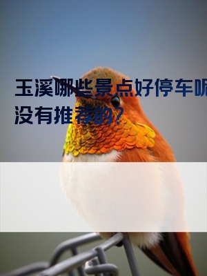 玉溪哪些景点好停车呢？有没有推荐的？