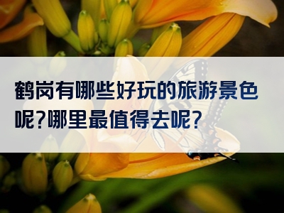 鹤岗有哪些好玩的旅游景色呢？哪里最值得去呢？