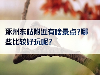涿州东站附近有啥景点？哪些比较好玩呢？