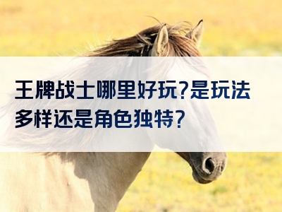 王牌战士哪里好玩？是玩法多样还是角色独特？