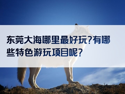 东莞大海哪里最好玩？有哪些特色游玩项目呢？