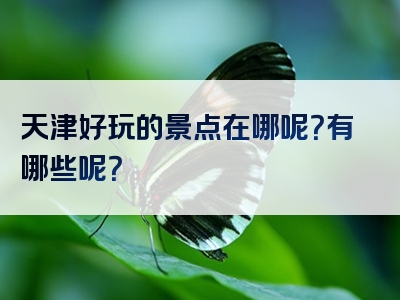 天津好玩的景点在哪呢？有哪些呢？
