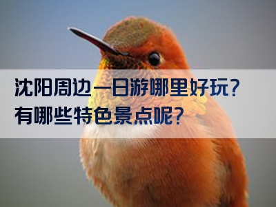 沈阳周边一日游哪里好玩？有哪些特色景点呢？