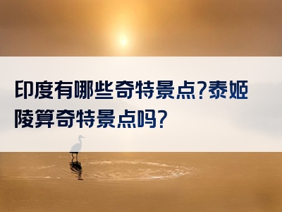 印度有哪些奇特景点？泰姬陵算奇特景点吗？