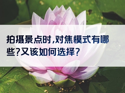 拍摄景点时，对焦模式有哪些？又该如何选择？