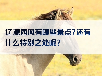 辽源西风有哪些景点？还有什么特别之处呢？