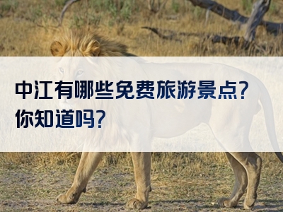 中江有哪些免费旅游景点？你知道吗？