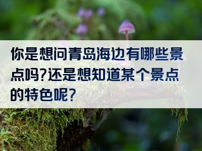 你是想问青岛海边有哪些景点吗？还是想知道某个景点的特色呢？
