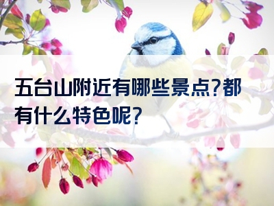 五台山附近有哪些景点？都有什么特色呢？