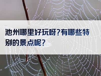 池州哪里好玩呀？有哪些特别的景点呢？