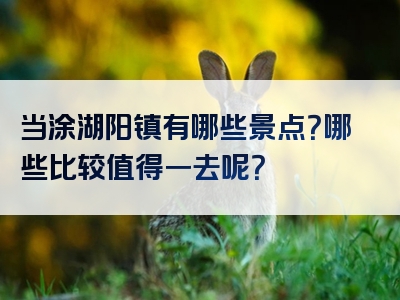 当涂湖阳镇有哪些景点？哪些比较值得一去呢？
