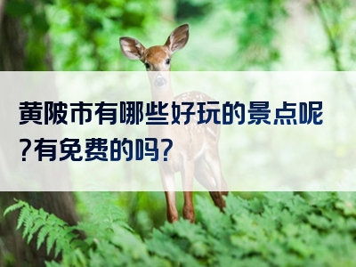 黄陂市有哪些好玩的景点呢？有免费的吗？